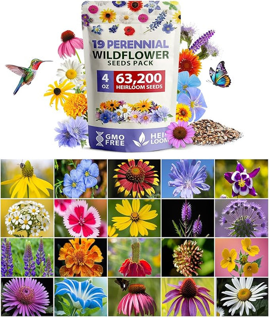 HOME GROWN Wildflower Seeds Bulk Mix | 63,200+ Non-GMO Perennial Flower Seed for Outdoor Planting | 19 Varieties to Attract Bees, Butterflies & Hummingbirds | 4 oz