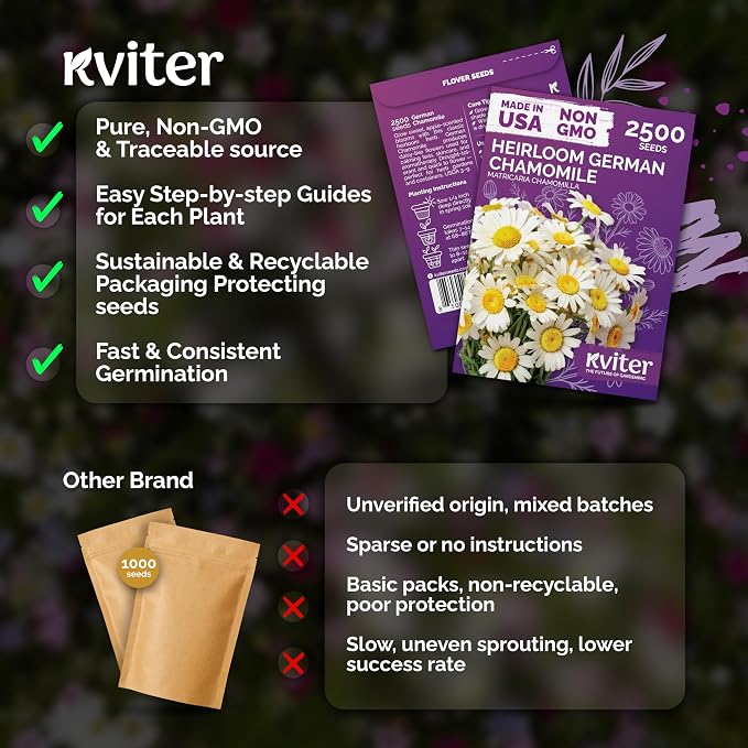 KVITER 2,500 German Chamomile Seeds for Planting (Matricaria Chamomilla/Recutita) – Heirloom & Non-GMO Medicinal Herb Seeds, Flowers for Remedies & Chamomile Tea – Indoors/Outdoors Herb Garden