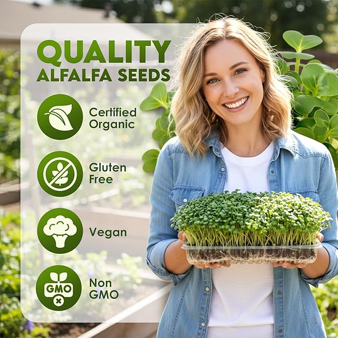 Nature Jims Sprouts Alfalfa Seeds – Non-GMO Organic Sprout for Growing & Planting – Premium Resealable Bag for Fresh Homegrown Sprouting Seeds – Rich in Nutrients, Vitamins, Fiber & Minerals – 16oz