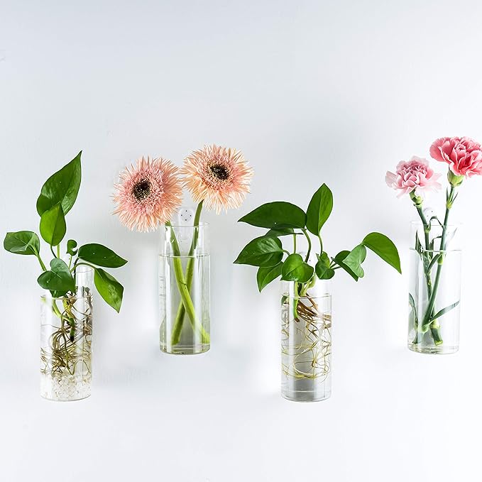 Kingbuy Glass Tube Wall Planter Propagation Station - 2 Pack Terrarium Cylinder Wall Vase with Plant Holder Hydroponic Planter for Home Kitchen Office Decor, Perfect Plant Lover Gifts (Short Cylinder)