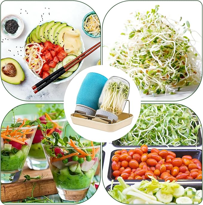 32OZ Sprouting Kit, 2 Sprouting Jar Kits, Wide Mouth Mason Jars with Sprout Lids.Sprouts Growing Kit, Seed Sprouter Set for Growing Broccoli, Bean, Alfalfa