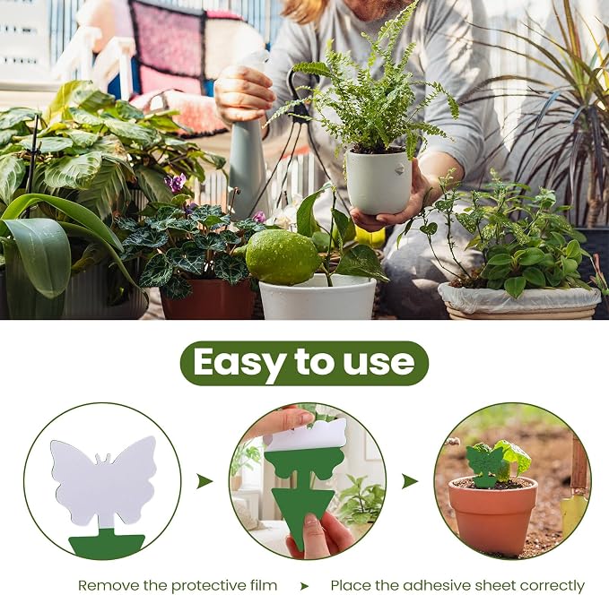 Qualirey 50 Sheets Fruit Fly Sticky Traps for Fruit Fly Gnat Trap for House Indoors Sticky Traps Catcher for Gnats Fungus Gnats Mosquito Catcher for Kitchen Outdoor Plants(Green)