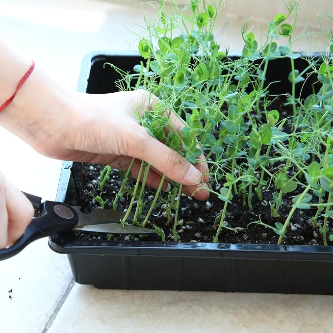 Mr. Pen- Seed Starter Trays, 5 Pack, 17"x10"x2.4", Durable Plastic Growing Trays, Stackable and Reusable Seedling Starter Kits for Indoor, Outdoor, Greenhouse Gardening, Planting, Hydroponic Systems
