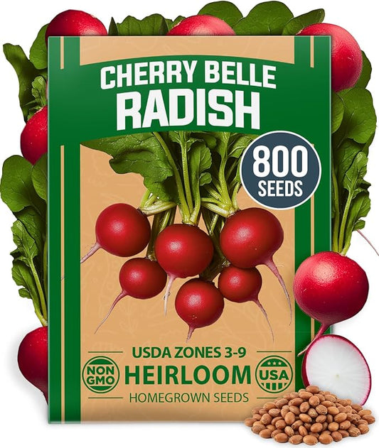 HOME GROWN Cherry Belle Radish Seeds 800+ Heirloom Non-GMO Seeds for Planting, High Germination, Fast Growing Red Radish, Harvest in 30 Days, Crisp & Mild Root Vegetable,Spring Fall (Raphanus sativus)