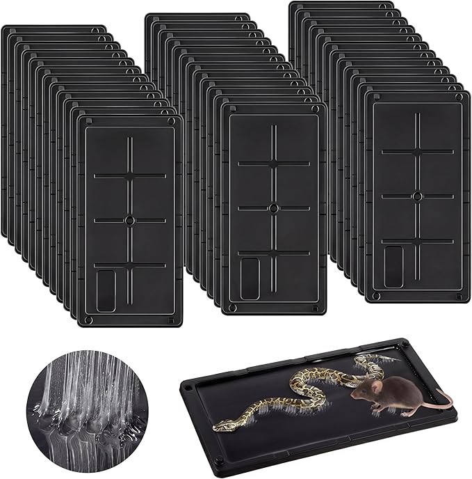 Qualirey 36 Pack Rat Glue Traps 10x5 Inch, Pre-Baited Heavy Duty Mouse Sticky Traps for Mice Snakes Roaches, Large Adhesive Glue Boards with Peanut Scent, No Touch Disposal, Indoor Outdoor (Black)