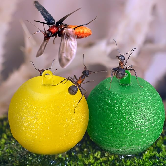 Qualirey 20 Pcs Sticky Fruit Fly Trap Ball Adhesive Fly Catching Ball Sticky Glue Fly Gnat Wasp Hornet Mosquito Bugs Flying Insects Trap Ball Traps (Green, Yellow)
