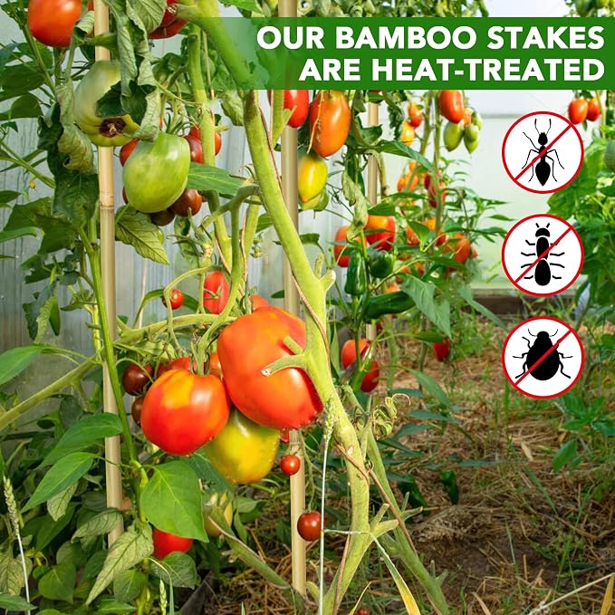 70 Pcs Bamboo Stakes, 5 Feet (57.5inch) Natural Bamboo Garden Stakes for Plant, Garden Bamboo Plant Sticks for Plants Support, Tomato, Beans, Vegetable, Trees and Climbing Plants