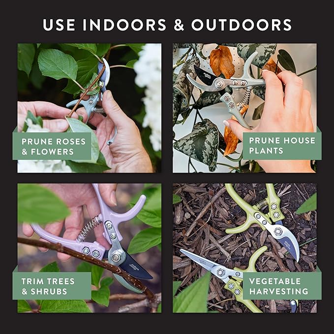 Modern Sprout Hand Pruners - Lightweight Pruning Shears W/Easy Lock- Gardening Scissors - Bypass Sharp Carbon Steel Blade- Rust Resistant -Garden Tools - Reusable Holster - Gift for Father's Day -Sage