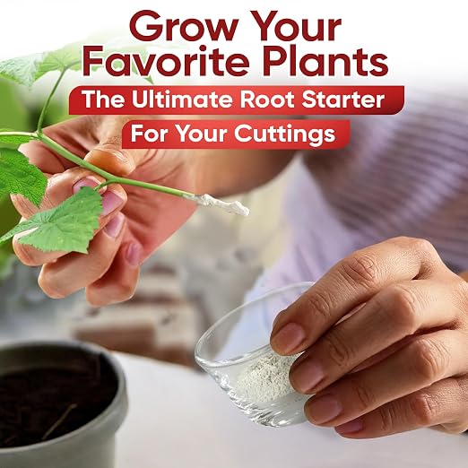 Hormex Rooting Powder Combo #1, 3, 8 (0.10-0.8 IBA) for Delicate and Common Houseplants to Semi-Hardwood - Root Powder, Root Stimulator for Plants, Rooting Hormone for Cuttings, Cloning & Propagation