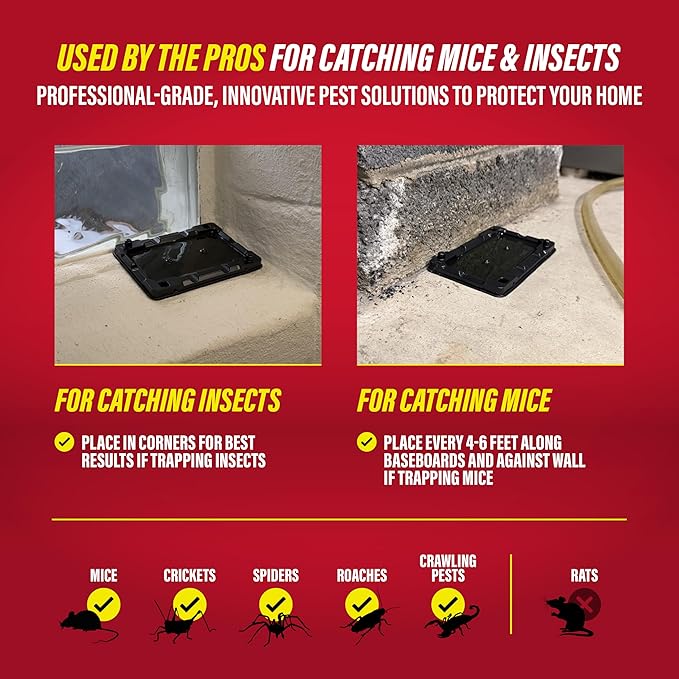 Catchmaster-8 Mouse & Insect Glue Traps, Heavy-Duty Pesticide-Free Sticky Mouse Traps Indoor for Home, Used by The PROs, Adhesive Rodent & Bug Catcher, Pest Control for House & Garage (Pack of 2)
