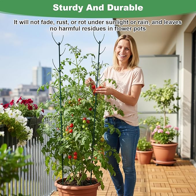 Nogeqi 6 Pack Stackable Plant Support Stakes, Plant Stem Support Sticks Structures Pole with Half Round Supporting Rings for Monstera Trellis Indoor Outdoor Garden Accessories