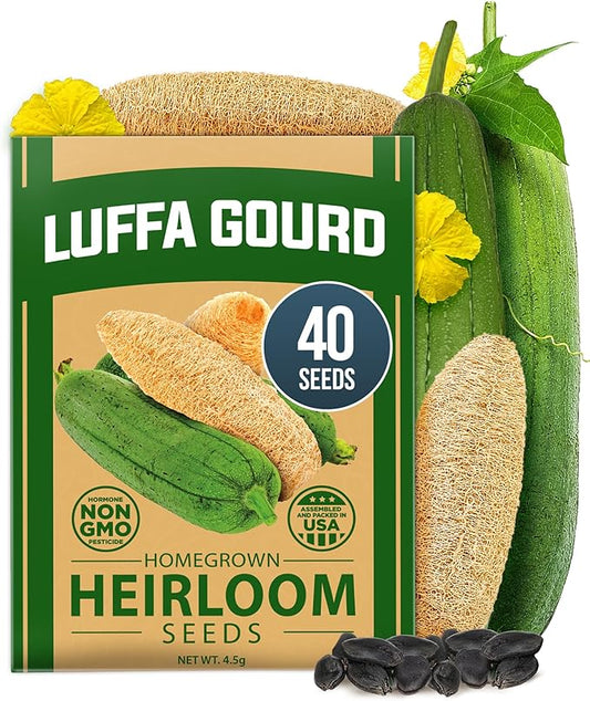 HOME GROWN Luffa Seeds 40 Heirloom Non-GMO Loofah Gourd Seeds for Planting, High Germination, Grow Your Own Natural Bath Sponges, Edible Vining Vegetable Garden, Harvest Young Gourd (Luffa aegyptiaca)