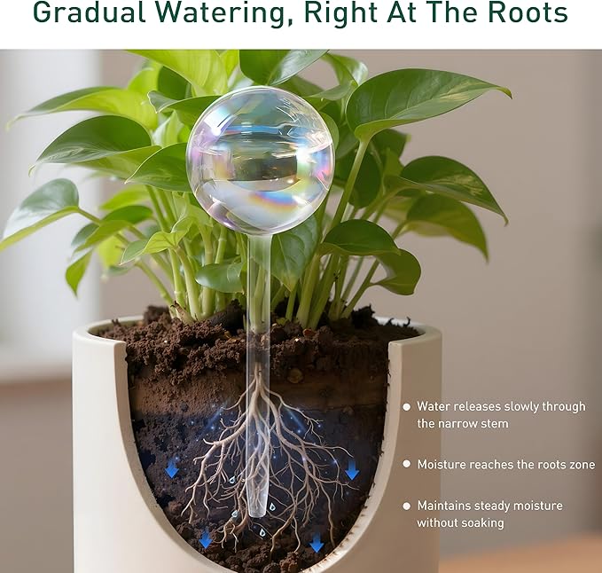 Soilagua Large Extra-Thick Clear Glass Plant Watering Globes, Rainbow Gradient Self Watering Devices for Indoor & Outdoor Plants, AutomaticWaterer Spikes, Perfect for Daily or Vacation Use, 6-Pack