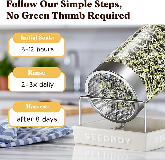 Seedboy Organic Sunflower Seeds for Sprouting - Non-GMO, USA Grown Microgreens Sprouting Seeds Mix - Makes 5 Quarts of Sprouts, 20 Servings (8 oz) (Black Oil Sunflower)