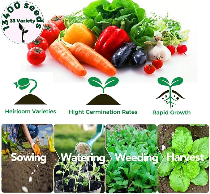 12,500+ Vegetable Fruit Seeds for a Bountiful Garden: 40 Heirloom Varieties, Non-GMO, Indoors, Outdoors, or Hydroponically, Mega Vegetable Seed Kit
