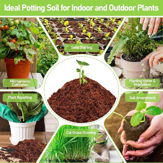 Legigo 200 Pcs 30mm Coco Coir Pellets Seed Starter Soil Mix- Organic Coconut Coir Potting Soil Pods for Seedling, Coco Peat Soil Discs for Indoor & Outdoor Plants Bonsai Herbs Vegetables and Flowers