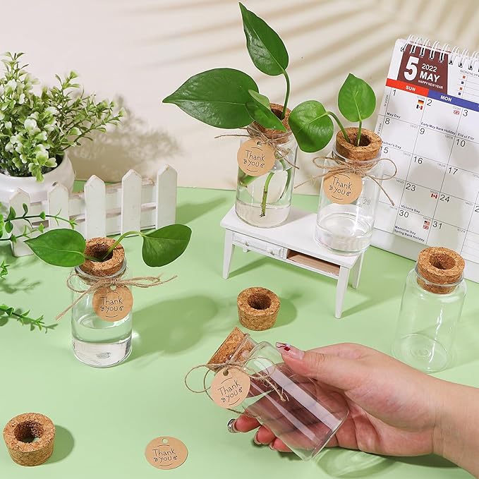 36 Packs Plant Propagation Stations with Hole Lid Clear Plastic Cultivation Bottles Tabletop Hydroponic Containers with Thank You Tags for Home Gardening Office Desktop Decoration