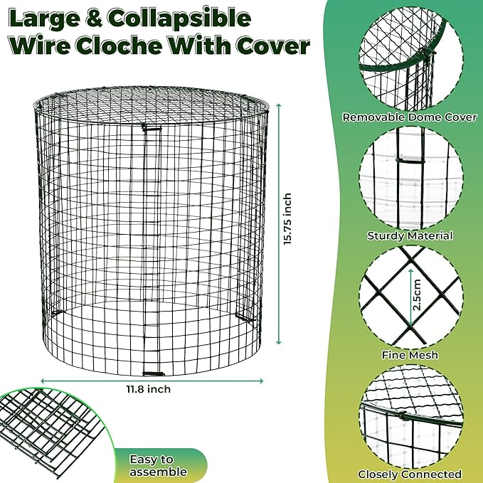 Hiboom 6 Set Garden Plant Protectors from Animals with Stakes, Metal Mesh and Detachable Covers Wire Plant Cage for Keeping Bunny Animals Out, Chicken Wire Cover Garden Protection (15.7x13)