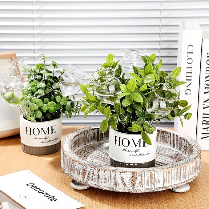 Yungyan 6 Pcs Glass Plant Watering Globes Self Watering Planter Insert Glass Water Bulbs for Indoor Plants Automatic Plant Water Devices for Indoor Outdoor Plants(Clear Tulip,5.31 Inch)