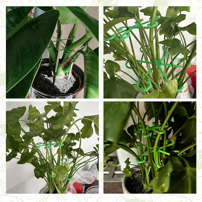 12-Pack Indoor Plants Support Stakes, 4 Sizes Climbing Houseplant Stem Supports, Reusable Plastic Stem Holders for Money Plant Monstera Pothos Climbing Vines Vertical Growth & Airflow (Green)