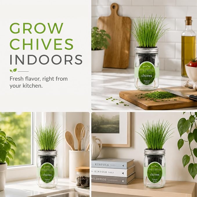 Hydroponic Herb Growing Kit, Self-Watering Mason Jar Herb Garden Starter Kit Indoor, Grow Your Own Herbs from Organic Seeds (Chives)