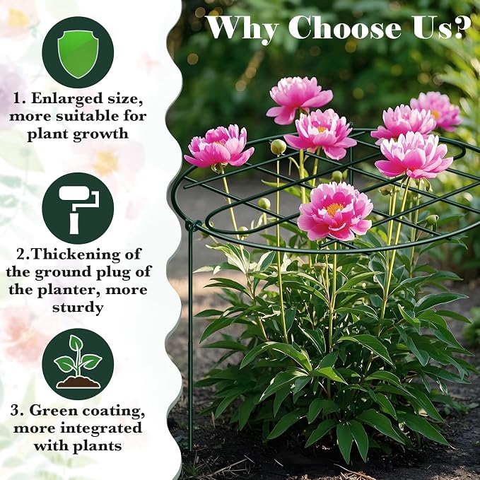 3 Pack 24 x 29.5 Inch Peony Cages and Supports Grow Through Plant Grid Support,Metal Plant Brace Support Peony Rings Hoops for Outdoor Plants Vegetables,Rose,Tomato,Orchids