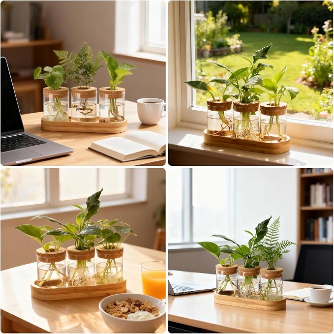 3Pcs Propagation Stations, Plant Terrarium with Lid and Wooden Stand,Desktop Glass Planter Hydroponics Vase,Home Office Living Room Decor Gifts