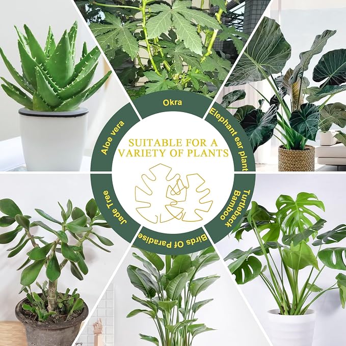 Plant Stem Support 2 Pack, Adjustable Metal Monstera Plant Support Small & Large, Unique Design Plant Supports for Indoor Plants Moss Pole Growth (Gold)