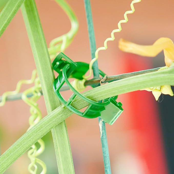 100Pcs Garden Vine Plant Support Clips,Plastic Fixing Clips for Securing and Training Climbing Plants,Tomatoes,Grapes,Vine Vegetables and Potted Plant (100, Black)