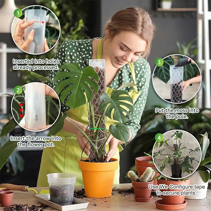 Sisher 6 Pcs Monstera Moss Pole,Plastic Moss Poles for Climbing Plants Work with Sphagnum Moss,6×16'' Plant Support for Indoor Plants,Garden Ties