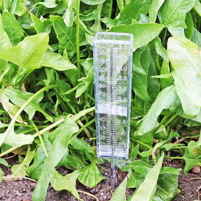 Rain Gauge 2 Pack-Plastic Home Clear Rain Water Meter for Lawn Yard Garden Outdoor Home (Pack of 2)