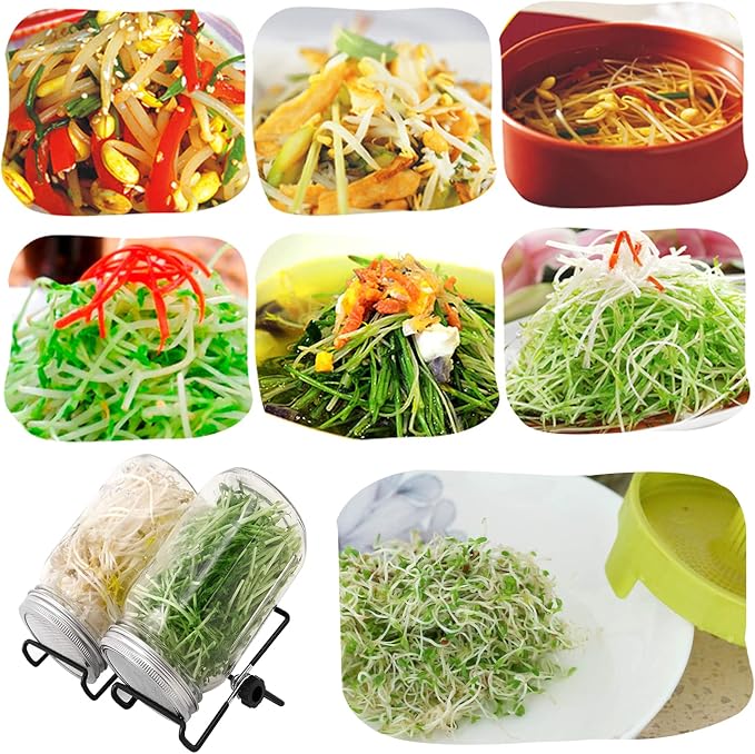 Lulonpon Sprouting Kit, One Pieces Seed Sprouting Jar Kit, Wide Mouth Quart Mason Jars with 304 Stainless Steel Screen Sprout Lids,86mm Caliber with Tray,Stand,Shading Bag and Brush,for Bean Sprouts