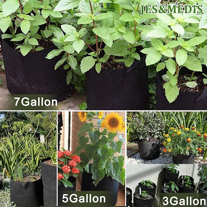 JES&MEDIS 12-Pack 3 Gallon Plant Grow Bags Thick Aeration Non Woven Fabric Flower Vegetable Pots with Handles Garden Container Black (3 Gallon_12 Pack)