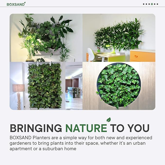 BOXSAND-12 Vertical Wall Planter (24"x26", Black with Black Pots) – Living Wall for 12 Plants, Indoor/Outdoor Vertical Garden System, Easy 2-Screw Install