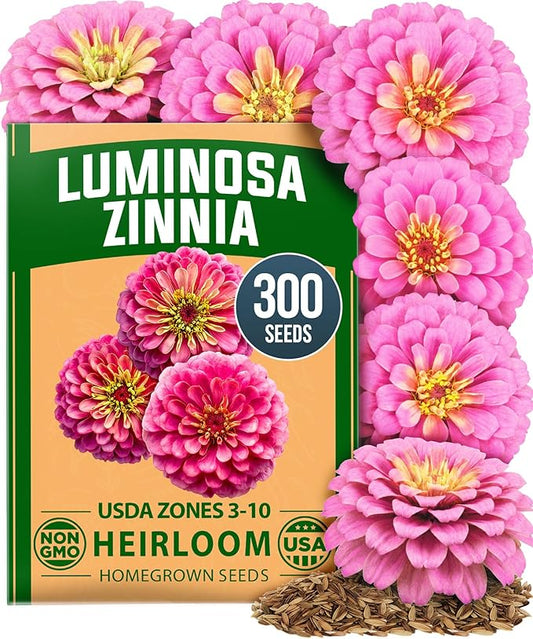 HOME GROWN Pink Zinnia Seeds – 300 Luminosa Zinnias 0.5g, Easy to Grow Annual Flower Seeds for Planting Outdoors for 2026, Fast Blooming, Heat Tolerant Herb Seed Garden Companion (Zinnia elegans)