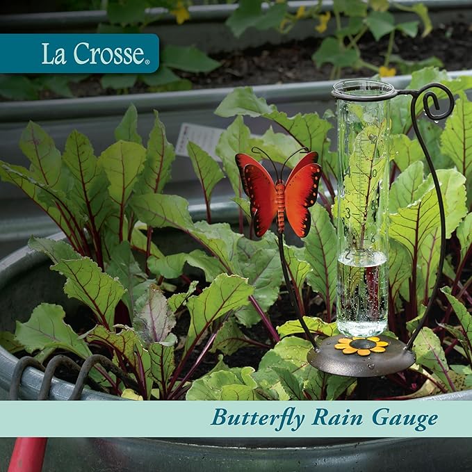 La Crosse 704-13077-INT 5 inch Capacity Glass Orange Butterfly Rain Gauge