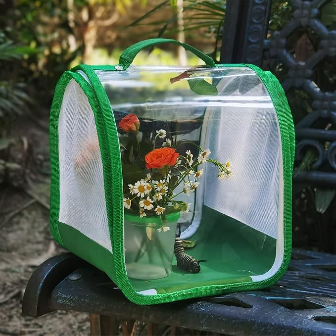 Small Butterfly Habitat, Insect Mesh Cage, Caterpillar Enclosure, Critter Cage, Bug Terrarium Portable Carry Handle Easy to Observe 8 x 8 x 8 Inches