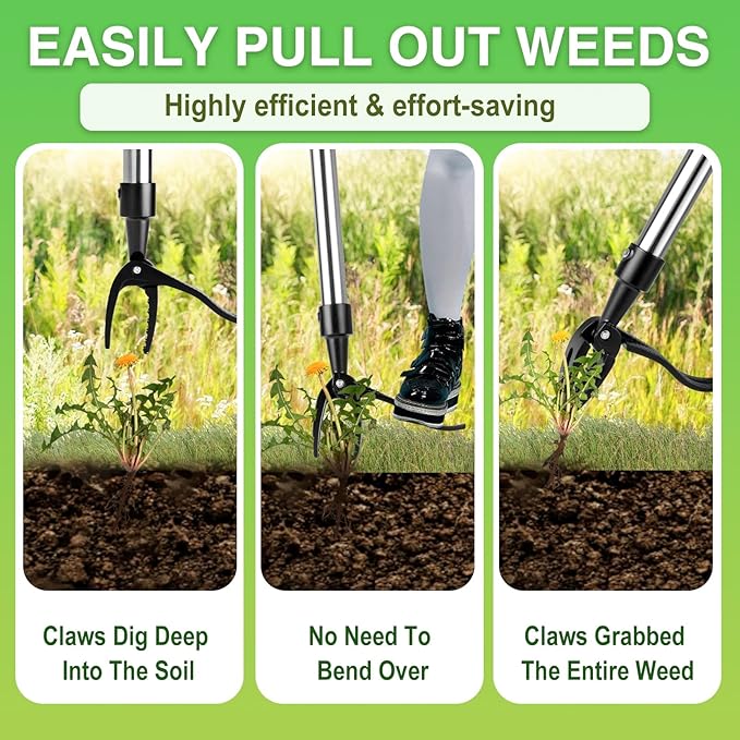 Weed Puller Detachable Stand Up Weed Puller Tool Long Handle with 4-Claw Stainless Steel Head & Removable 4-Section Pole Garden Hand Weeding Tools - Stand up and Weed Effortlessly