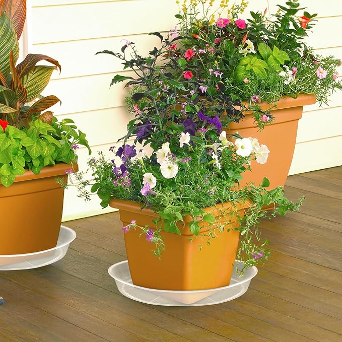 FUIJOL 6 Pack Clear Plant Saucer 12 Inch, Durable Plant Drip Trays Saucers for Pots, No Holes Water Catcher Trays for Indoor Outdoor Planter, Sturdy Base Plate(12", Clear)