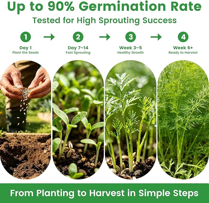 35 Medicinal & Tea Herb Seeds Variety Pack – 16,400+ Non-GMO Heirloom Seeds for Indoor & Outdoor Gardening: Basil, Chamomile, Rosemary, Mint, Oregano, Lavender & More