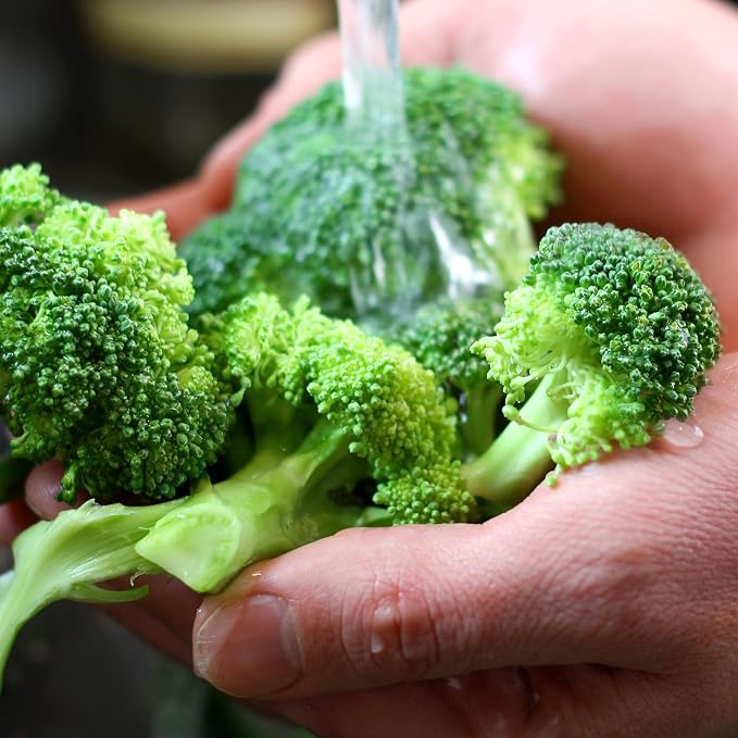 Purely Organic Broccoli Seeds (Waltham 29) - Approx 750 Seeds - USDA Organic, Non-GMO, Open Pollinated, Heirloom, USA Origin