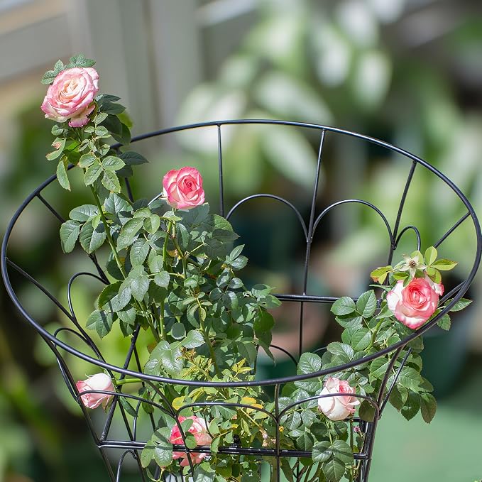COOOXIM 27.5 x 22 Inches Peony Cages & Supports - Heavy Duty Metal Plant Obelisk Trellis for Outdoor Use, Perfect for Peonies, Roses, and Climbing Vines - Durable Garden Support Ring in M Shape