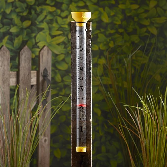 Taylor Capacity Jumbo Rain Gauge, Measure and Monitor Precipitation, Easy to Read for Backyard, Patio, Garden, and Lawn, 5-inch, Yellow