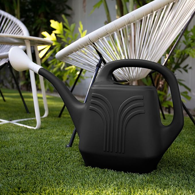 Bloem: Promo Watering Can: 2 Gallon Capacity - Black - Durable Resin, Removable Nozzle Spout, Two Handles, Wide Mouth, Indoor/Outdoor Use, Gardening