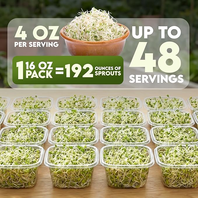 Nature Jims Sprouts Alfalfa Seeds – Non-GMO Organic Sprout for Growing & Planting – Premium Resealable Bag for Fresh Homegrown Sprouting Seeds – Rich in Nutrients, Vitamins, Fiber & Minerals – 16oz