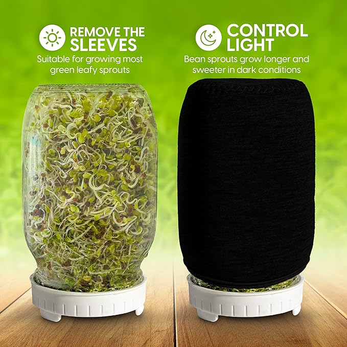 Broccoli Sprouting Kit & Green Onion Regrower with USA Organic Broccoli and Alfalfa Seeds– 2 Wide-Mouth Mason Jars with Sprout Lids, Stainless Stand, Drain Tray, Blackout Sleeves & Cleaning Brush