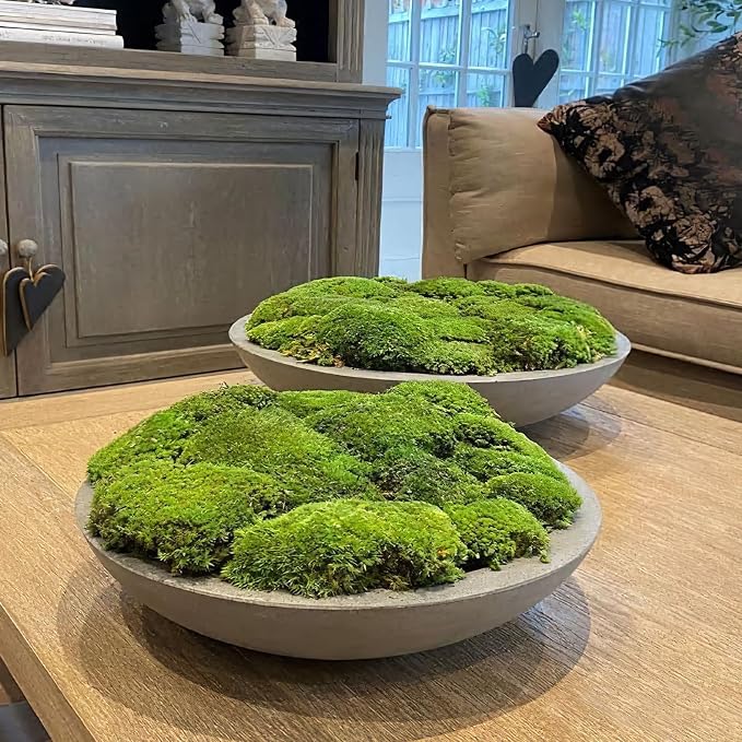 FAICOIA Preserved Moss Bulk Green Natural Preserved Pole Moss Pillow for Potted Plants 2.5 sq.ft Green Moss Balls for Bowls Wall Art Terrariums Crafts Fairy Gardens Easter Table Decor