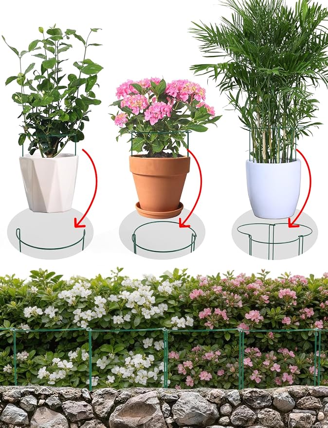 12 Pack Plant Support Stakes, 10" W x 16" H Metal Peony Cages and Supports, Green Half Round Garden Plant Support Ring for Outdoor Indoor Plants, Rose, Hydrangea, Tomato, Snake Plant