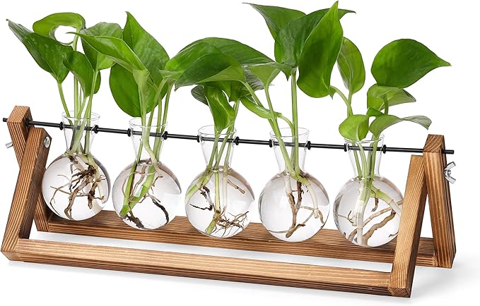 YIBOT Plant Propagation Stations with Wooden Stand & 5 Glass Bulb Vases | Tabletop Plant Terrarium for Propagating Hydroponic, Retro Glass Planter Flower Vase Home Kitchen Office Decor Gifts
