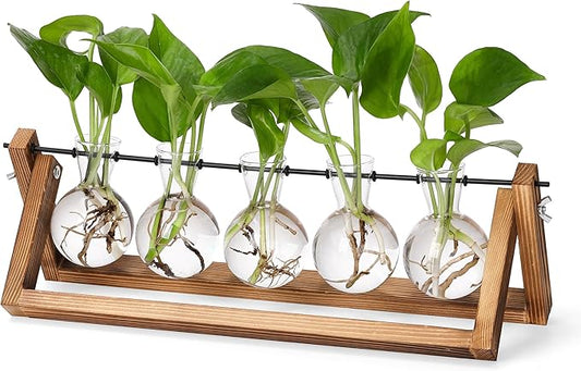 YIBOT Plant Propagation Stations with Wooden Stand & 5 Glass Bulb Vases | Tabletop Plant Terrarium for Propagating Hydroponic, Retro Glass Planter Flower Vase Home Kitchen Office Decor Gifts